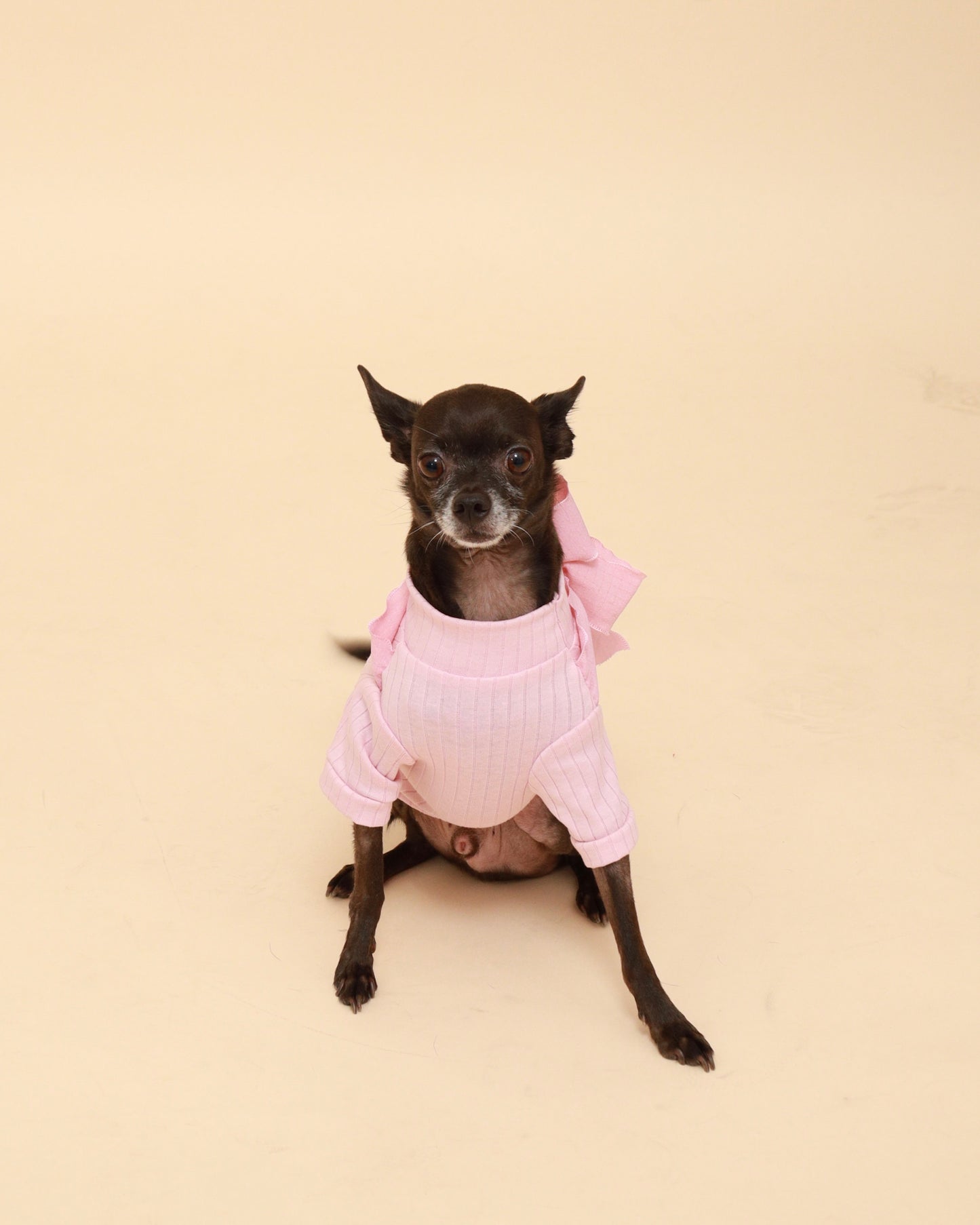 Pink Bow Cotton Turtleneck