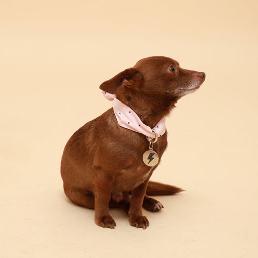 Pink Polka Dot Neckerchief