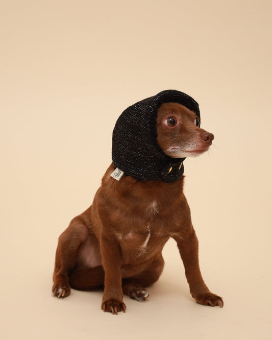 A small brown dog wearing a black sparkly knit beanie-style pet head accessory, w 9th gold snap buttons on the neck photographed against a plain warm beige studio background.