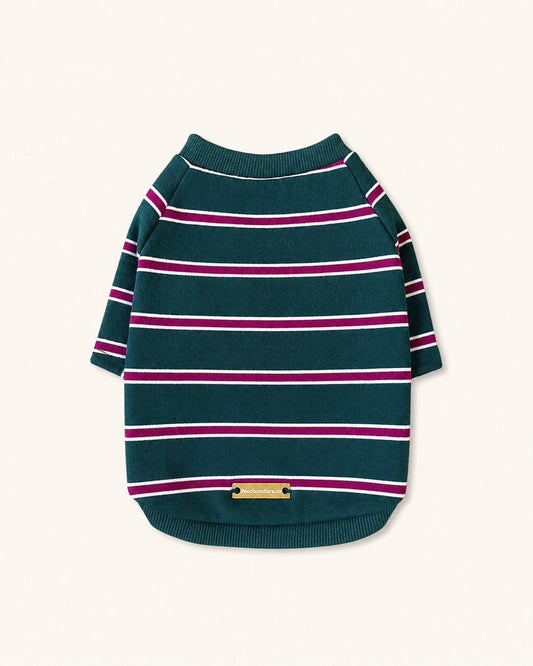 A long-sleeve knit pet sweater with horizontal stripes in dark teal green, magenta pink, and white, laid flat on a light cream background.