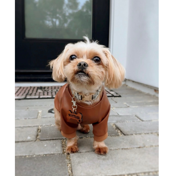 Cocoa Raglan