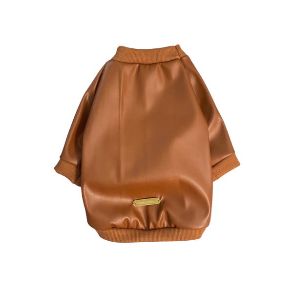 Cocoa Raglan