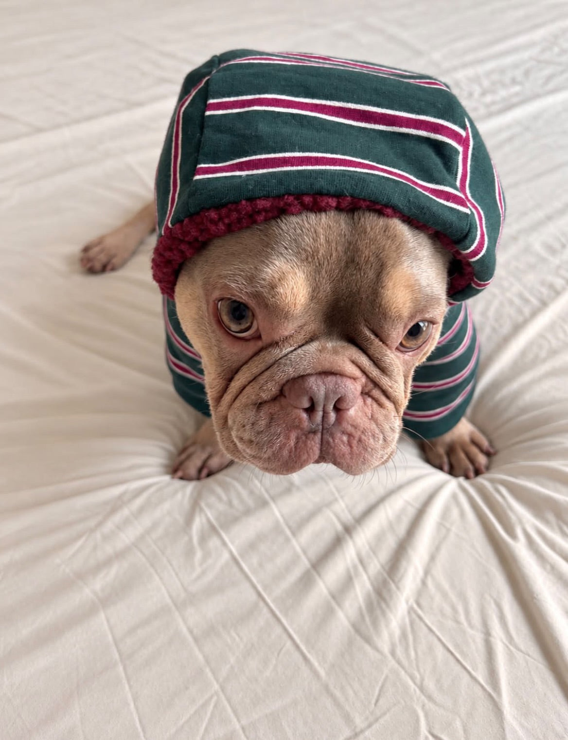 Green Striped Snood
