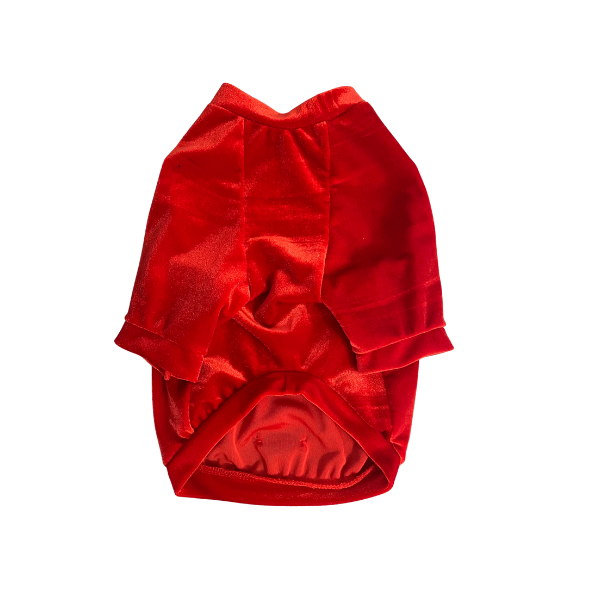Jolly Red Raglan