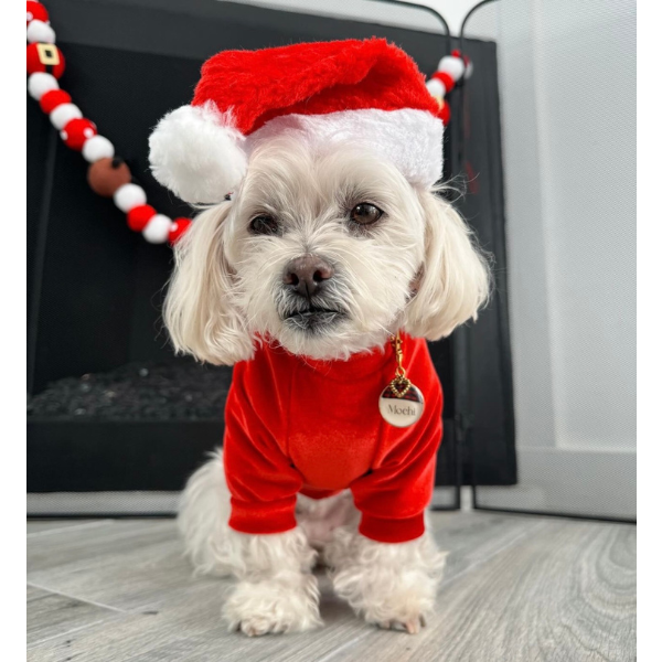 Jolly Red Raglan