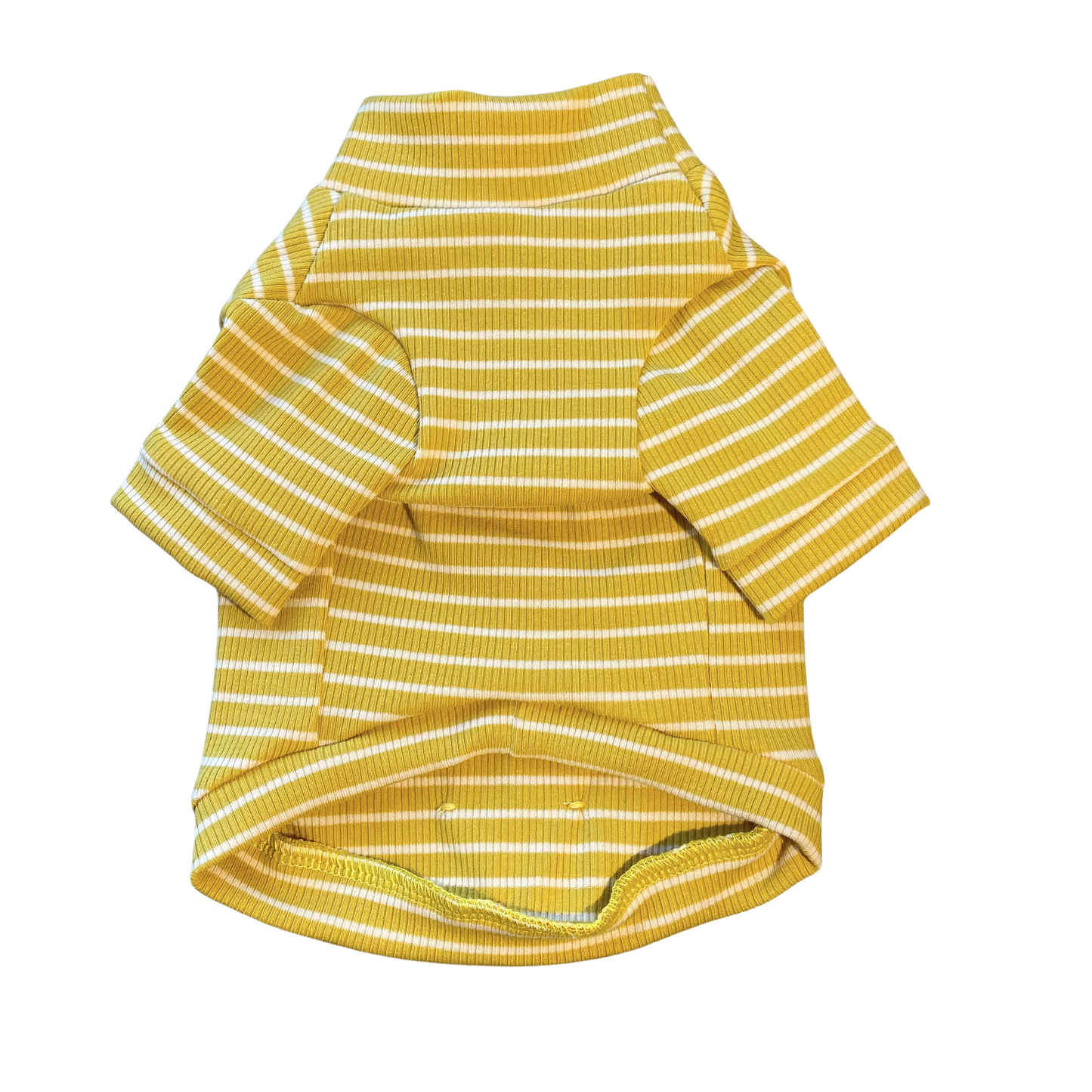 Mustard Stripe Cotton Turtleneck