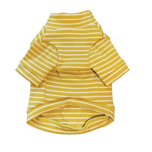 Mustard Stripe Cotton Turtleneck