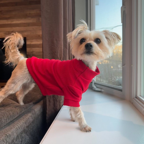 Red Ribbed Turtleneck