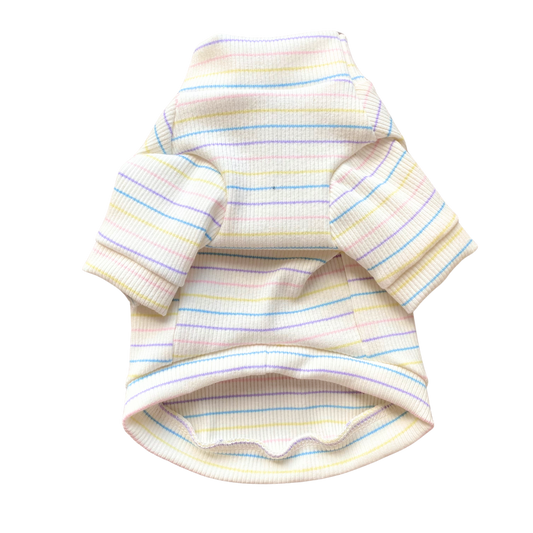 Pastel Striped Turtleneck