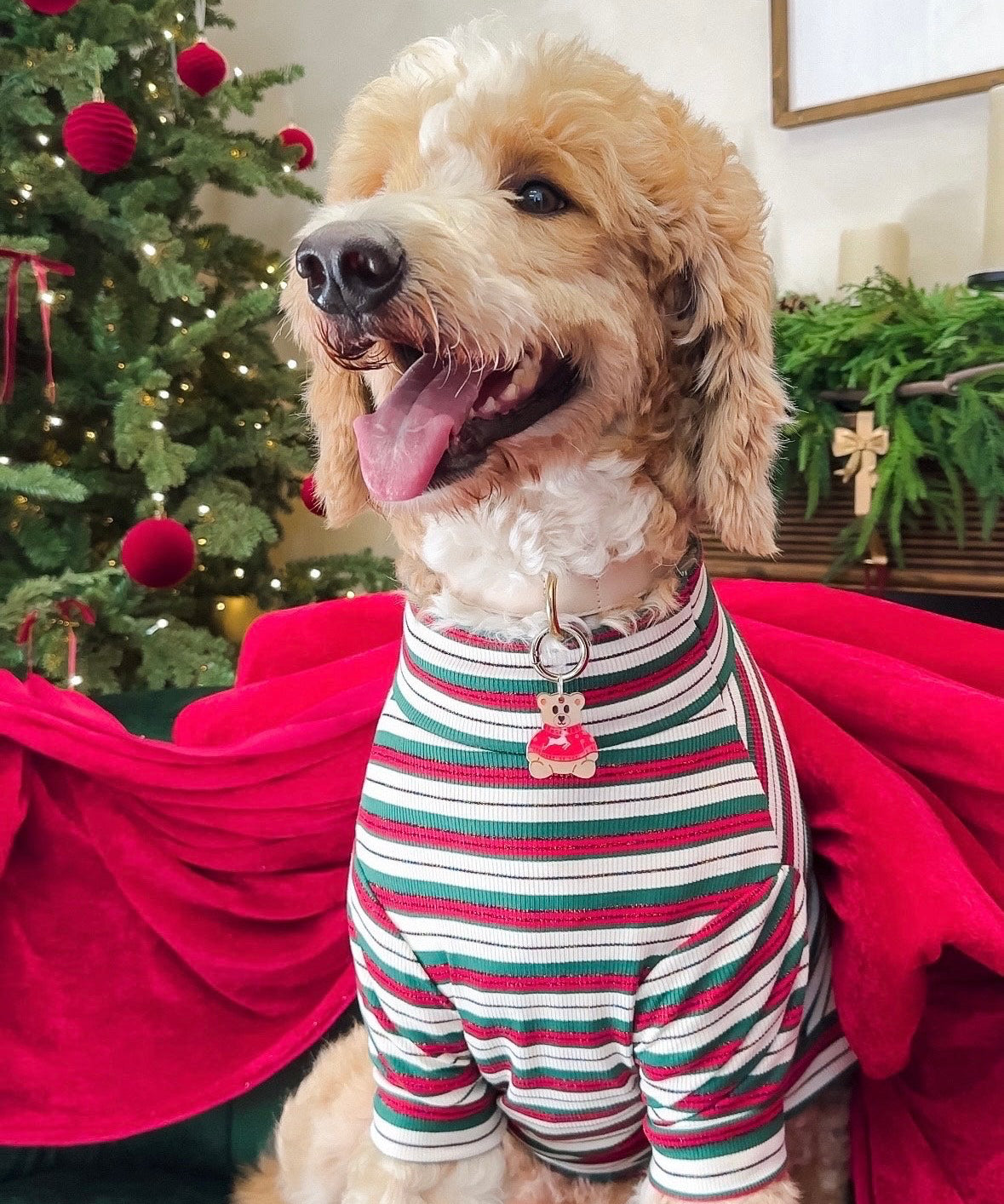 Christmas Cotton Turtleneck