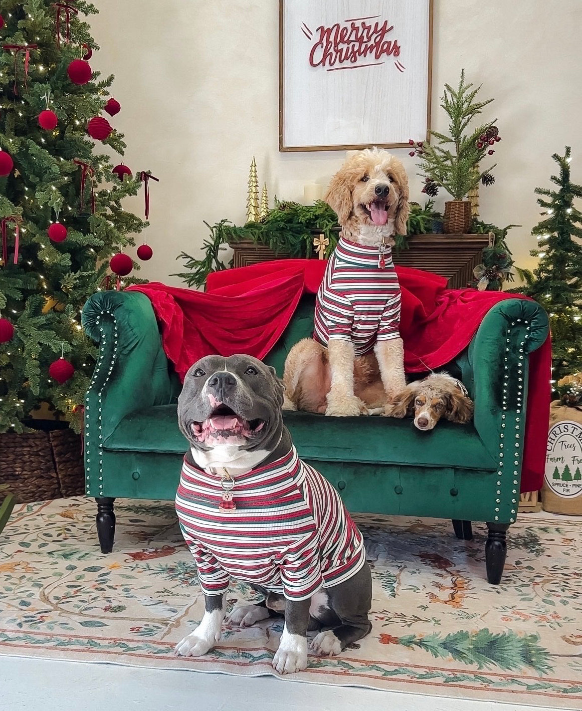 Christmas Cotton Turtleneck