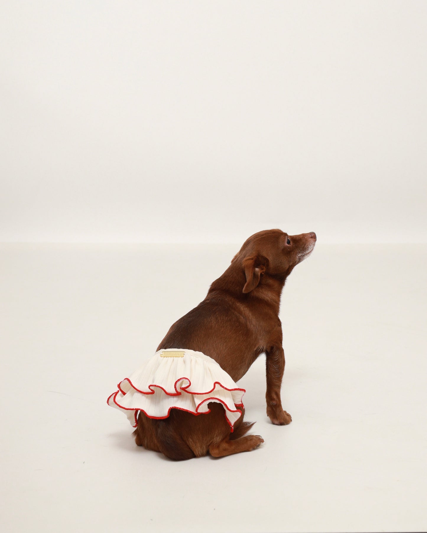 Ivory Contrast Skirt