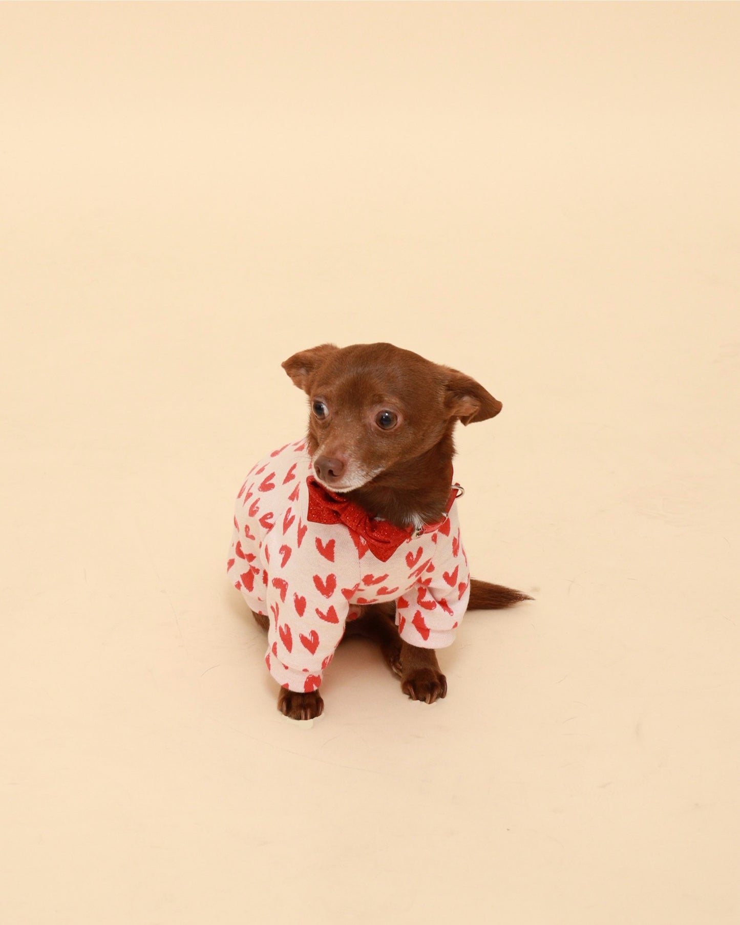 Red Hearts Cotton Raglan