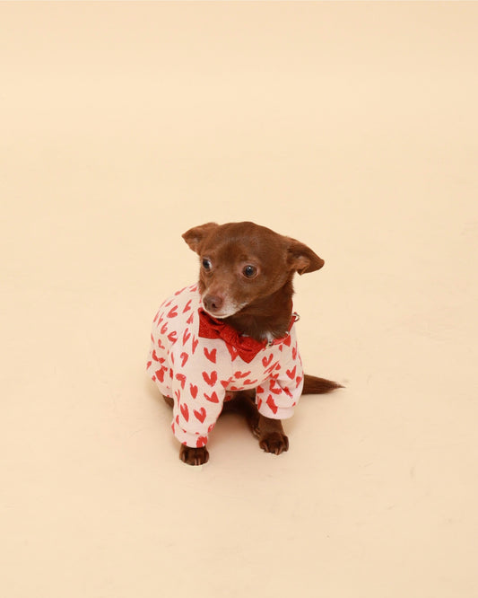 Red Hearts Cotton Raglan