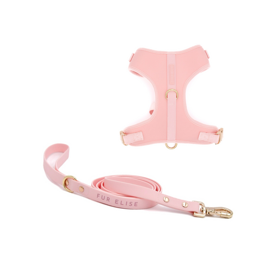 Elise Harness & Leash Set - Rose