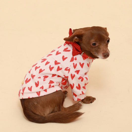 Small dog wearing a red and white heart-patterned outfit on a beige background