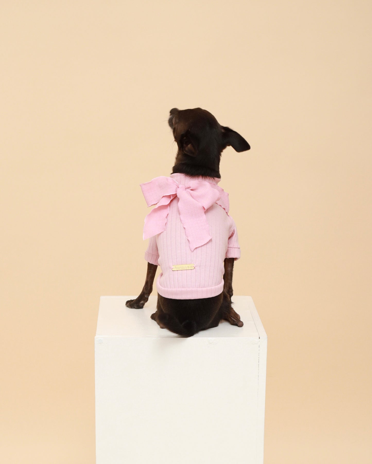 Pink Bow Cotton Turtleneck