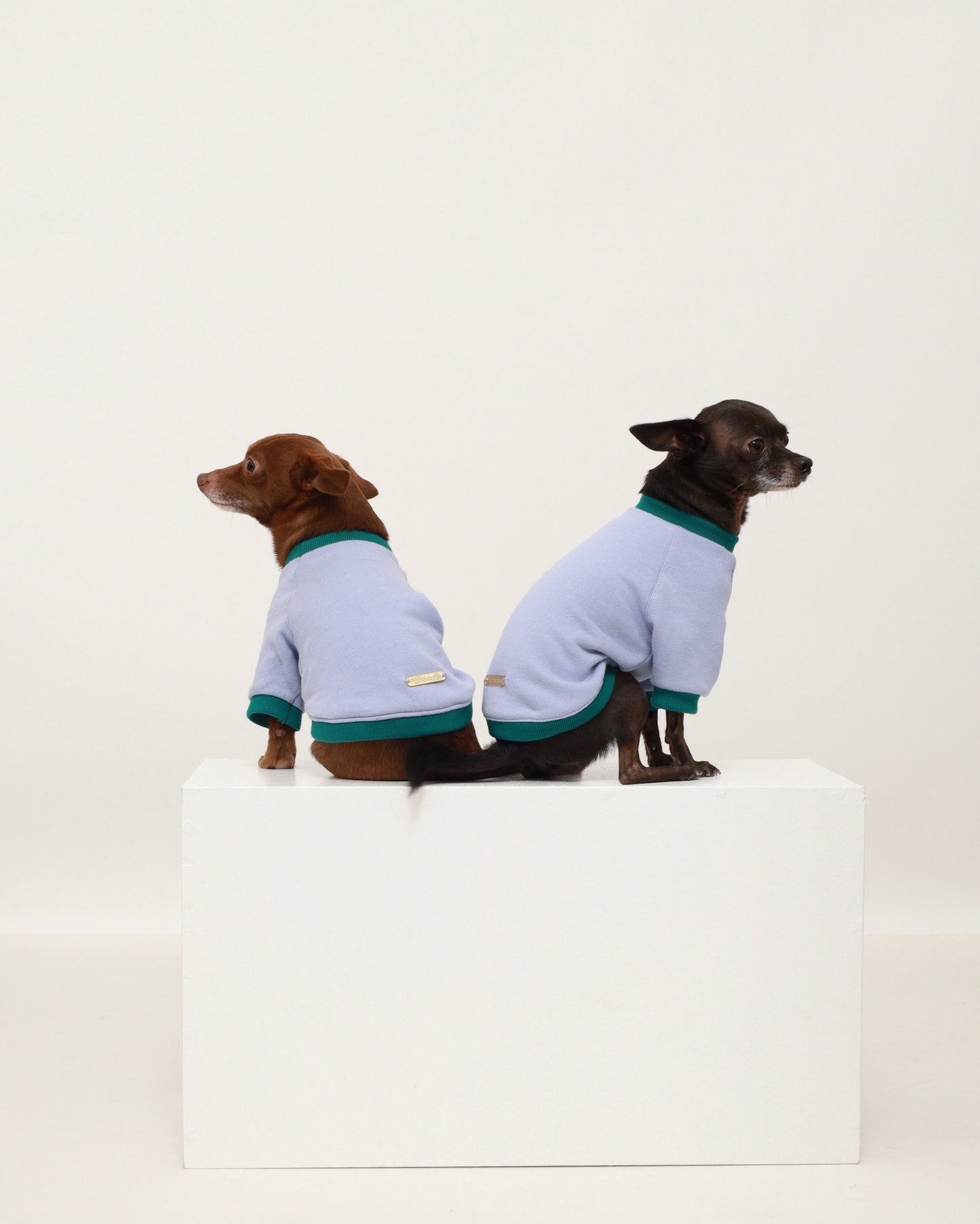 Lavender Contrast Raglan