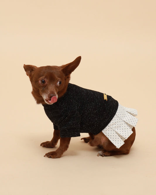 A small brown dog wearing a black knit sweater and a white polka-dot skirt, posed against a solid beige studio background.