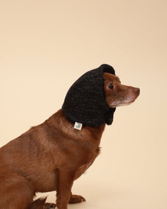 A cute brown chihuahua dog wearing a black sparkly knit beanie hat, photographed against a plain beige studio background.
