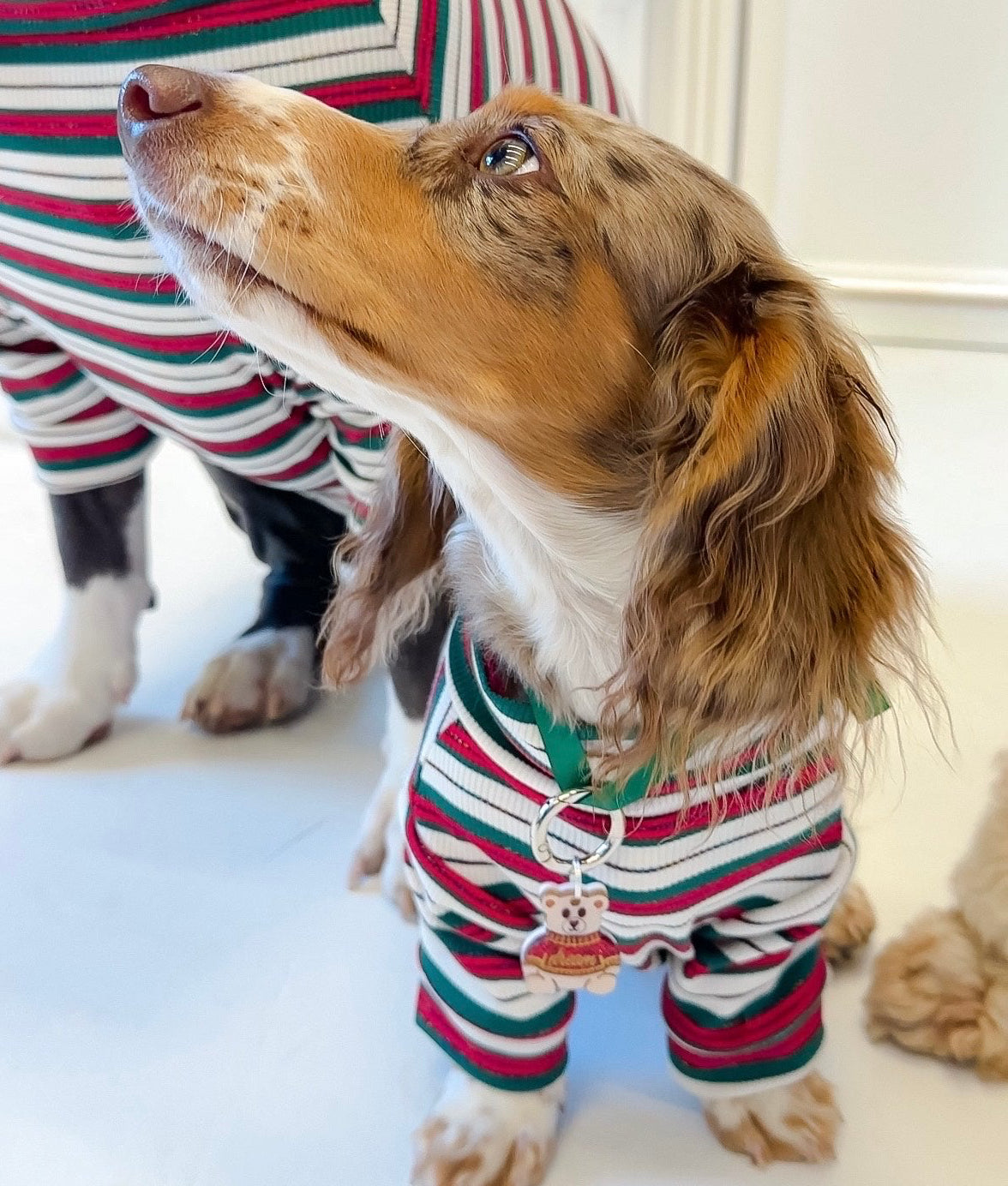 Christmas Cotton Turtleneck