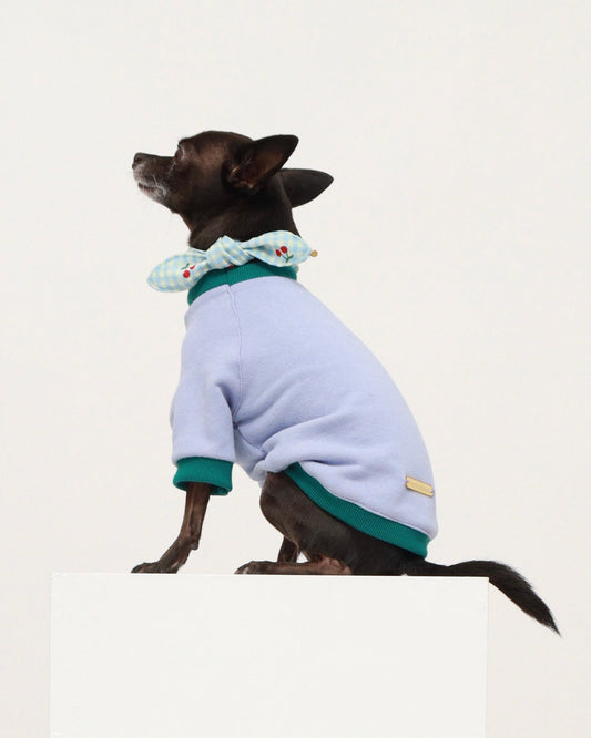 Lavender Contrast Raglan