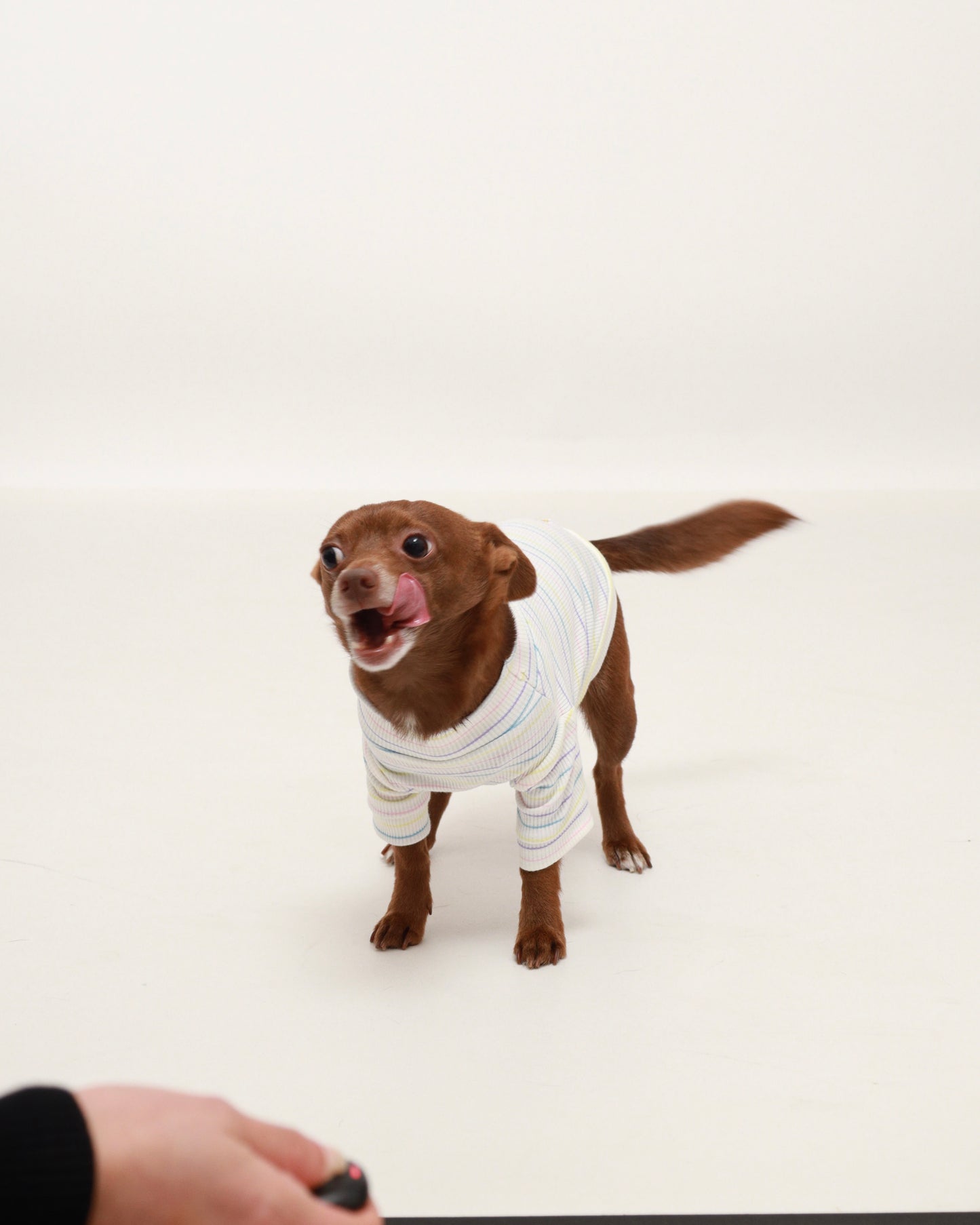 Pastel Striped Turtleneck