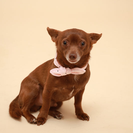 Pink Polka Dot Neckerchief