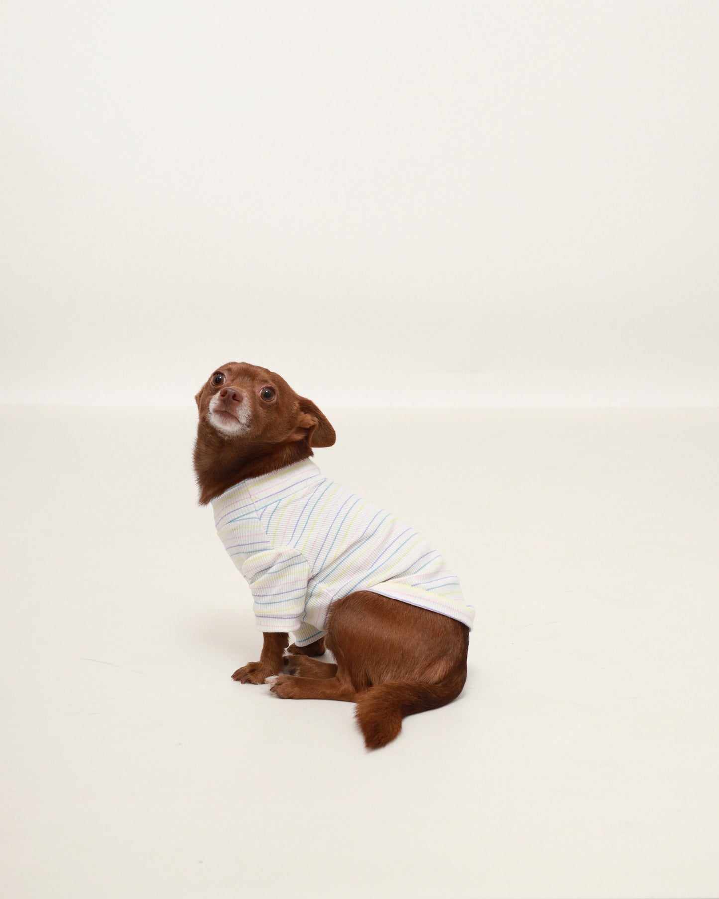 Pastel Striped Turtleneck