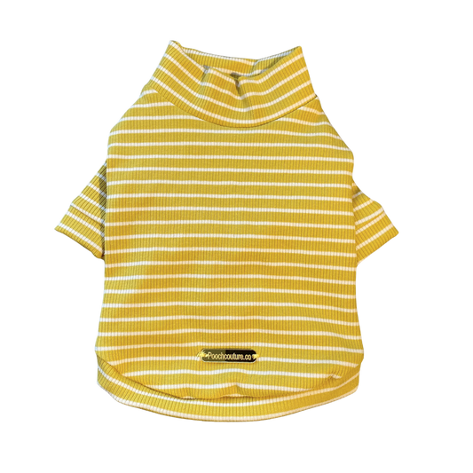 Mustard Stripe Cotton Turtleneck