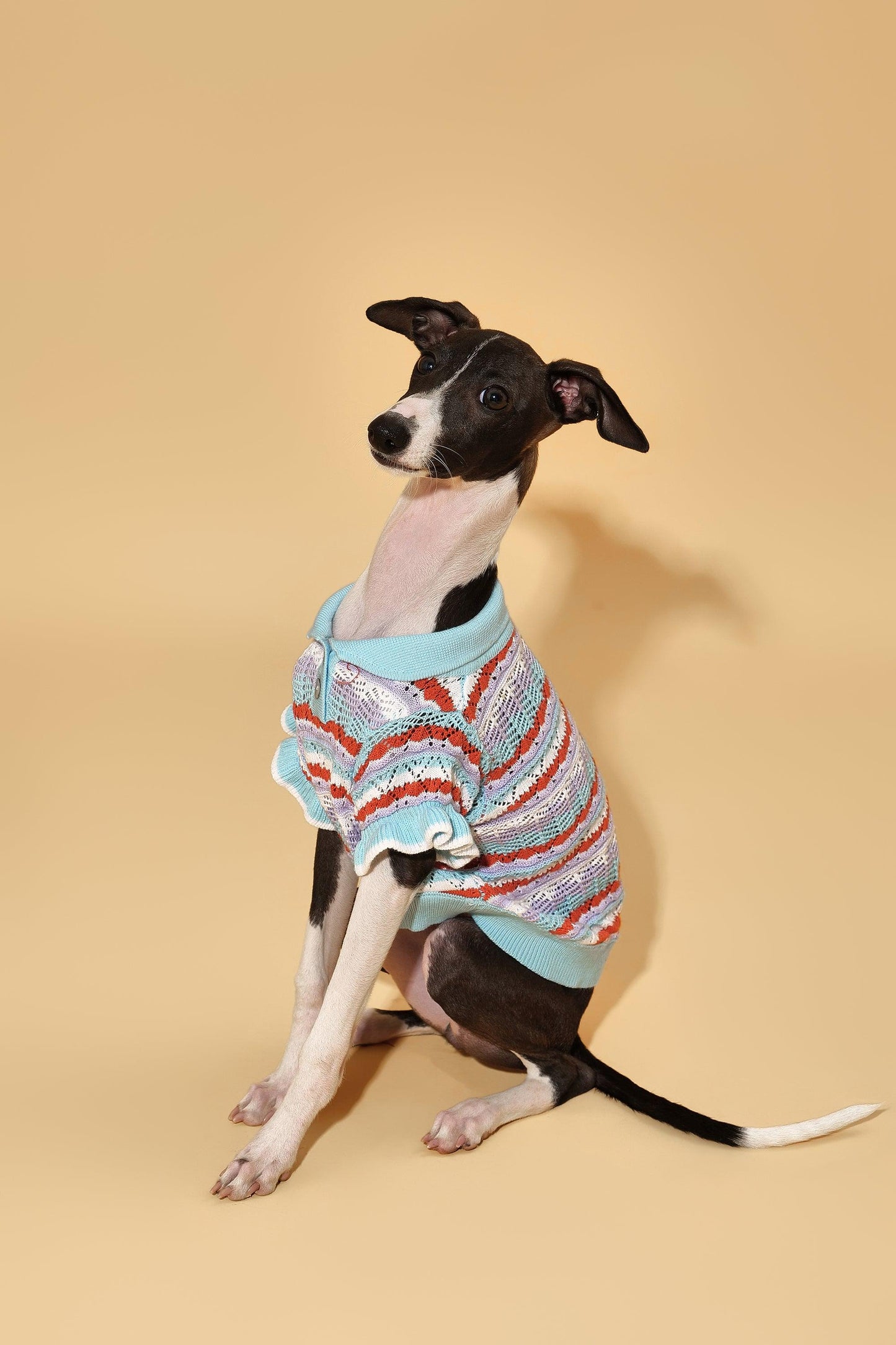 Pet & Me Spring Summer Ocean Blue Ruffle Crochet Short Sleeve Polo Shirt