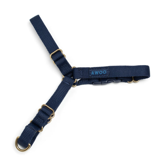 Roam Harness