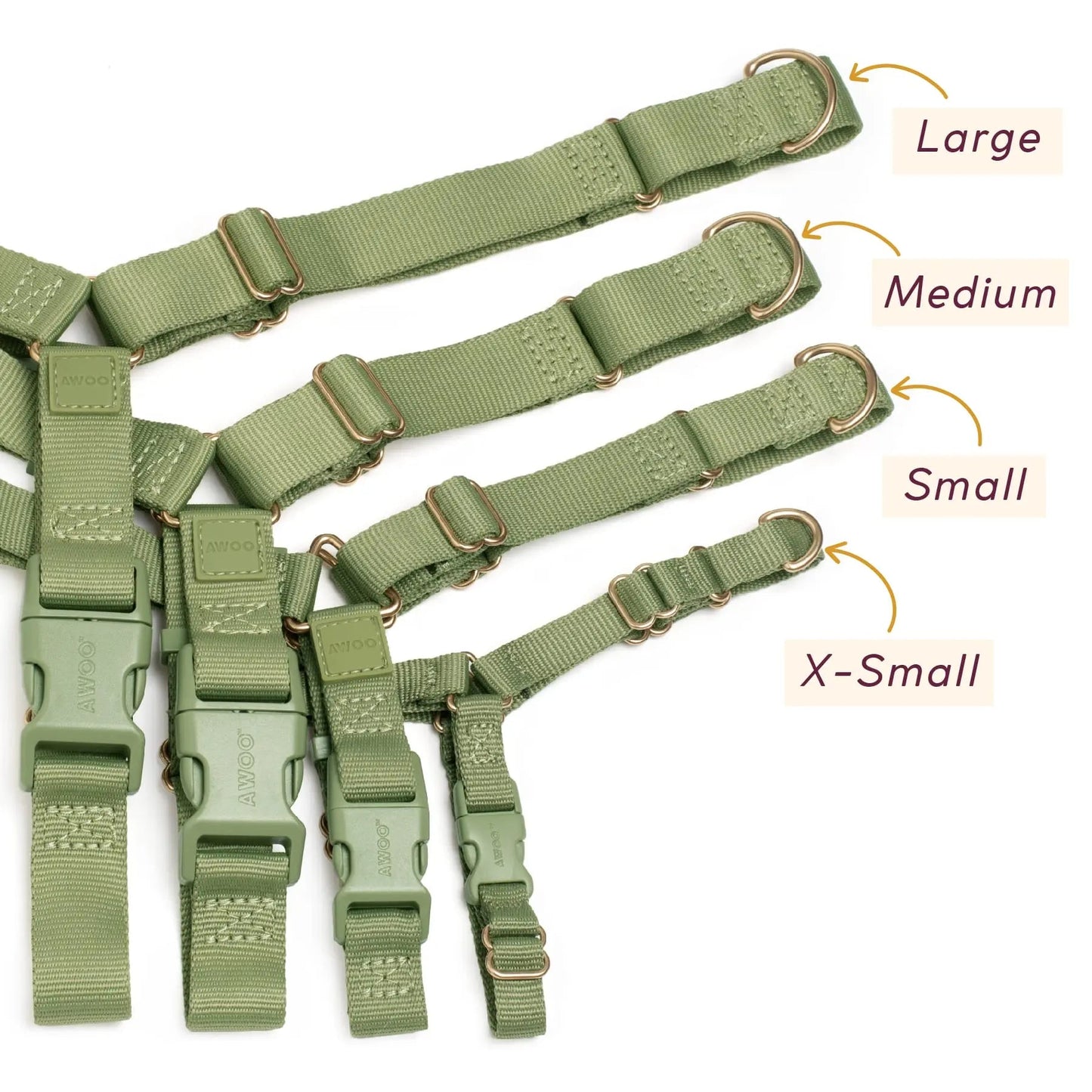 Roam Harness