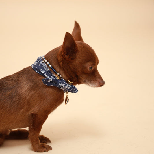 navy blue pet scarf, bandana, neckerchief, paisley pattern