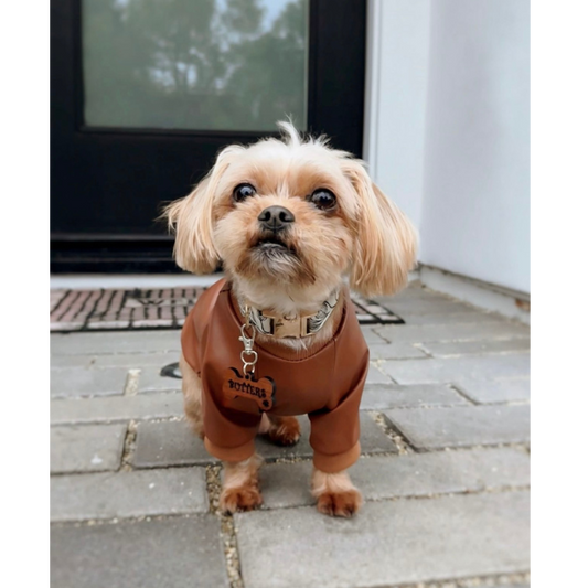 Cocoa Raglan