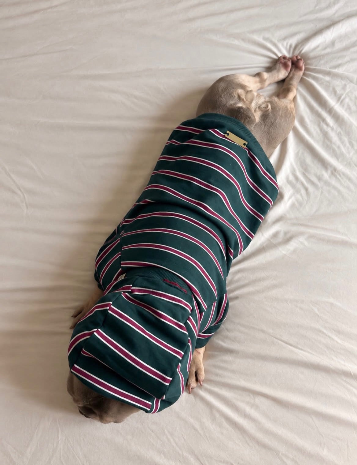 Green Striped Cotton Raglan