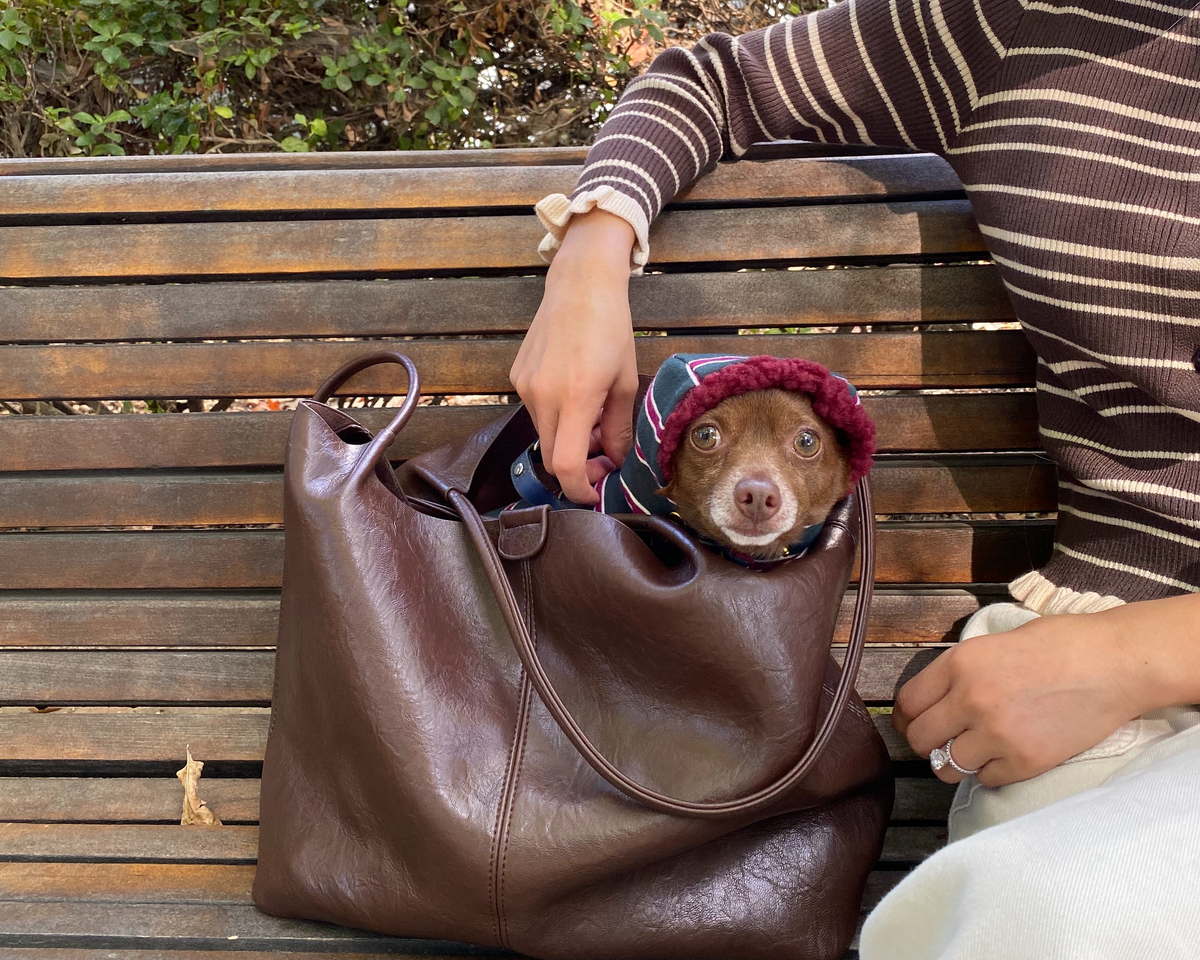 A woman sits on a wooden bench outdoors with a brown leather tote bag beside her. A small dog wearing a knit hat peeks out of the top of the bag.
