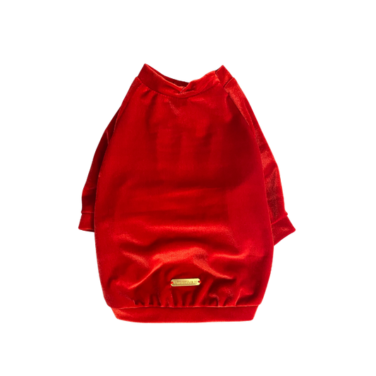 Jolly Red Raglan