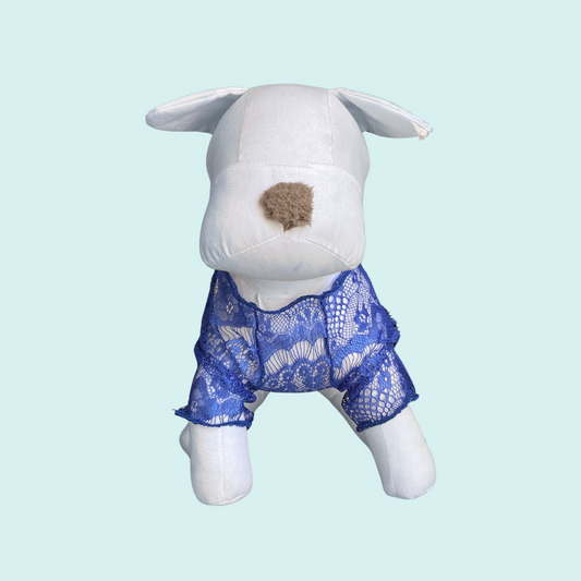 Blue Lace Raglan