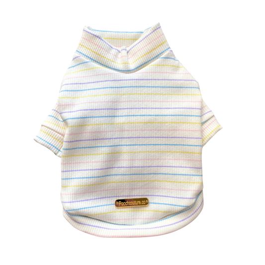 Pastel Striped Turtleneck